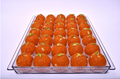 MEDIUM MOTICHOOR LADOO 5x1KG(2.2LB)